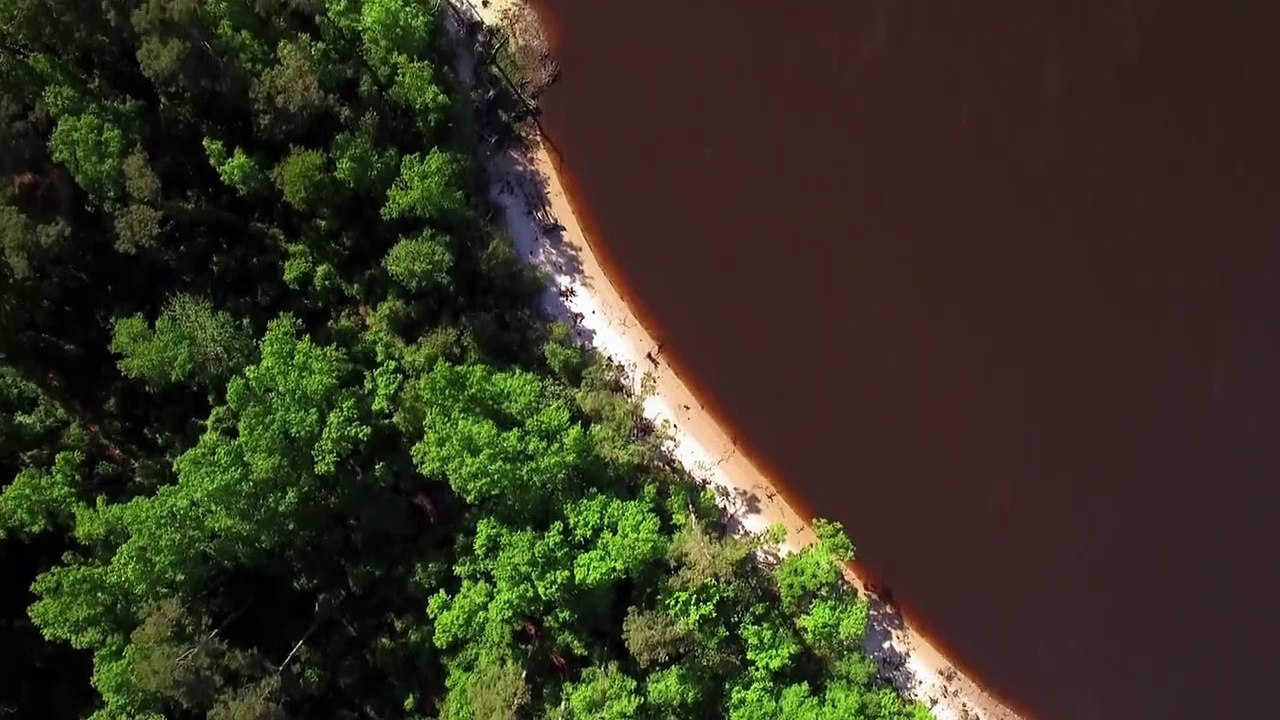 Wenn Tiere angreifen Staffel 2 Folge 4 HD Deutsch