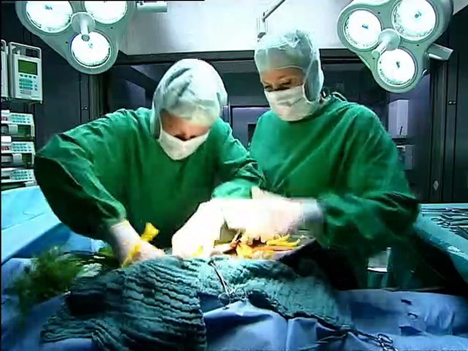 Die dreisten Drei Staffel 6 Folge 11 HD Deutsch