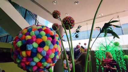 Sensory Garden | 26 October 2022 | Illawarra Mercury