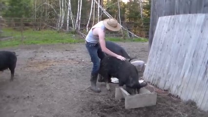 How To Be A Redneck - Country Fails Compilation
