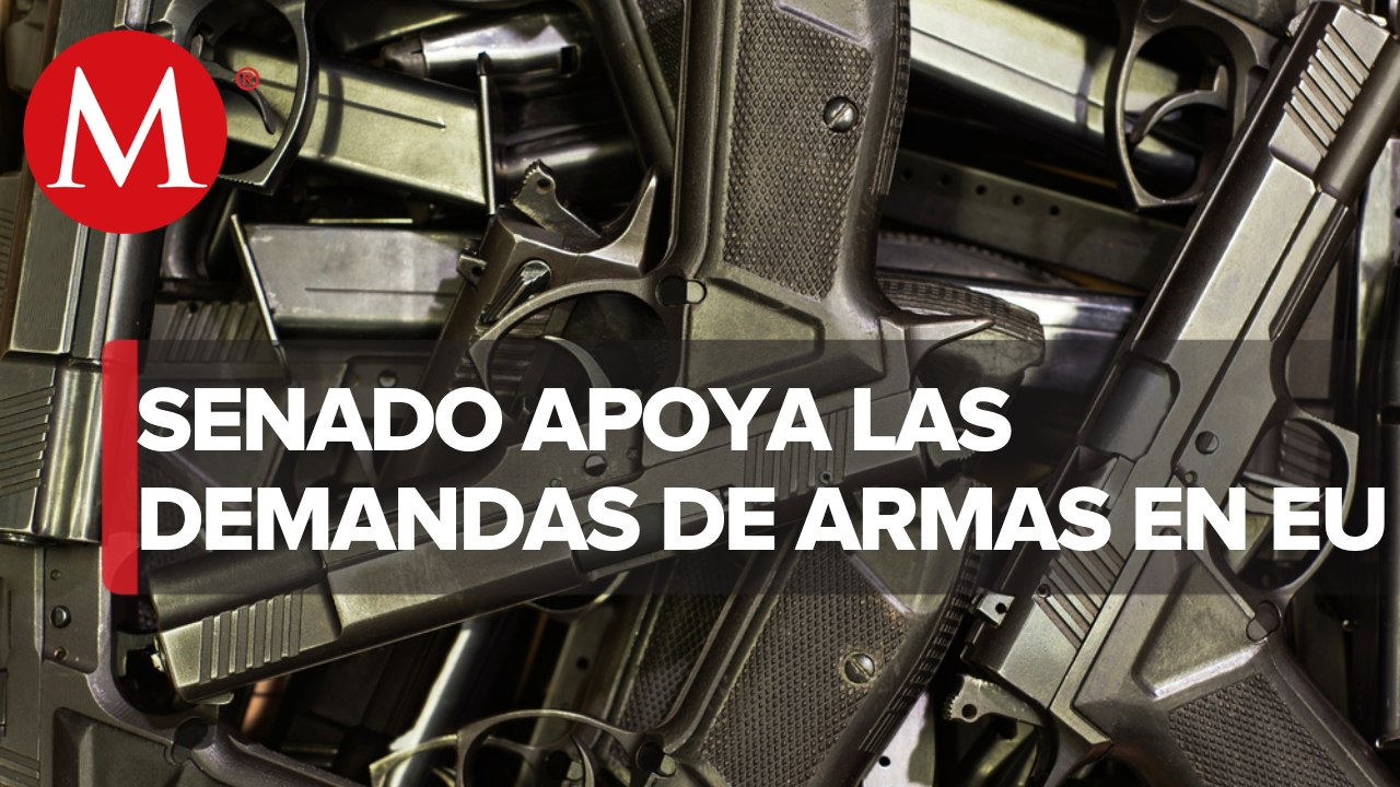Senado respalda acciones del gobierno contra tráfico de armas