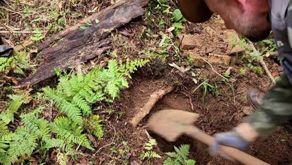 Garimpeiro ENCONTRA tanto OURO que fica DOENTE