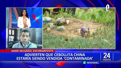 Excongresista Delgado sobre contaminación de Cebolla China: “Las autoridades tienen que hacer algo”