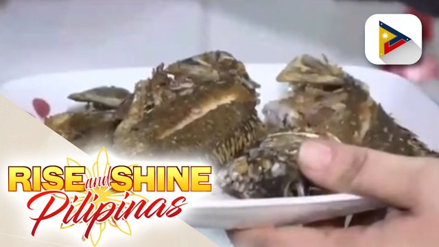 SAY NI DOK | Ang tamang paghahanda ng pagkain upang makaiwas sa sakit dulot ng kontaminasyon