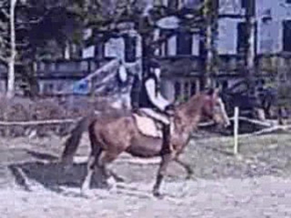 Moi et janisse vidéo