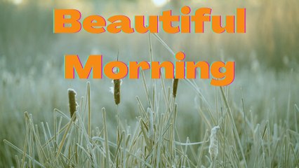 Beautiful Morning