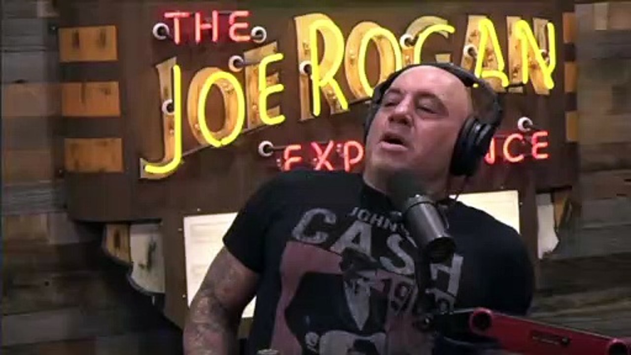 Shavkat Rakhmonov greatness is mentioned on JRE fight companion