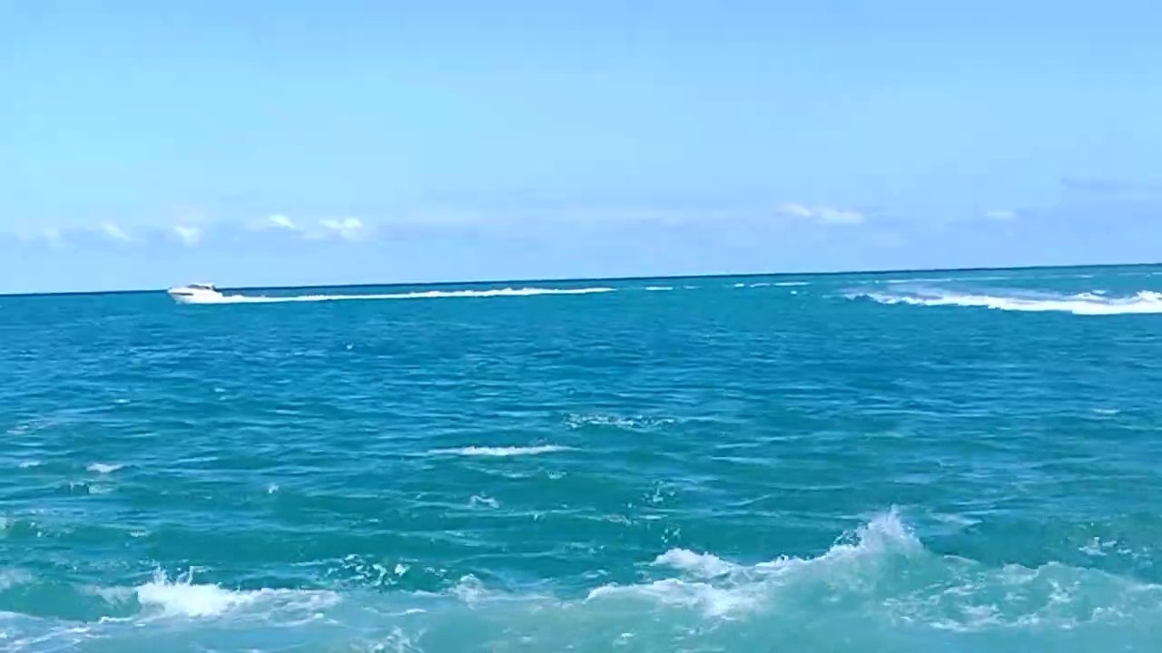 Miami Live Video #39