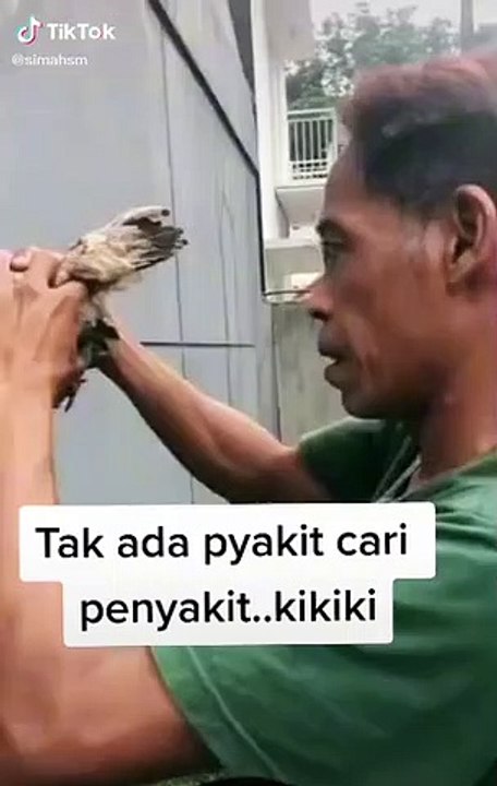 Semprotan tai burung.lucu viral