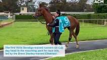 The first three Bendigo-trained runners on Cup day head to the mounting yard for race one | October 26, 2022 | Bendigo Advertiser