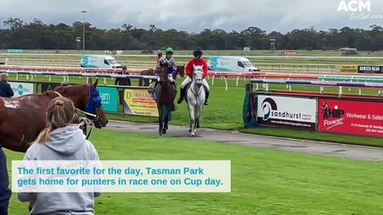 The first favorite for the day, Tasman Park gets home for punters in race one on Cup day | October 26, 2022 | Bendigo Advertiser