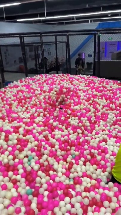 This Trampoline Is SoFun!