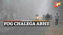 Winter Sets In, Foggy Conditions Seen In Odisha's Sundergarh