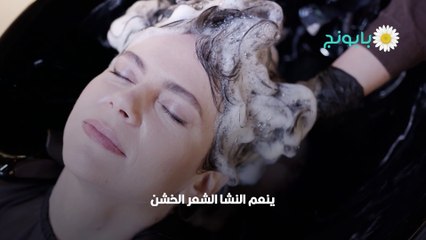 فوائد النشا للشعر بانواعه