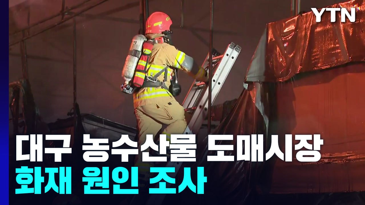 대구 농수산물 도매시장 화재 원인 본격 조사...합동 감식 / YTN