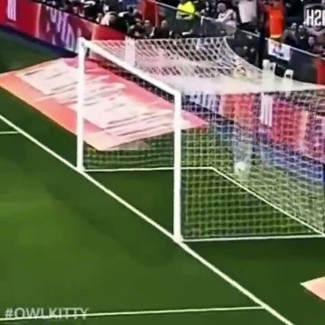 Kumpulan Video Kucing Lucu Terbaru 2021 Bikin Ngakak __ Funny Cat Videos