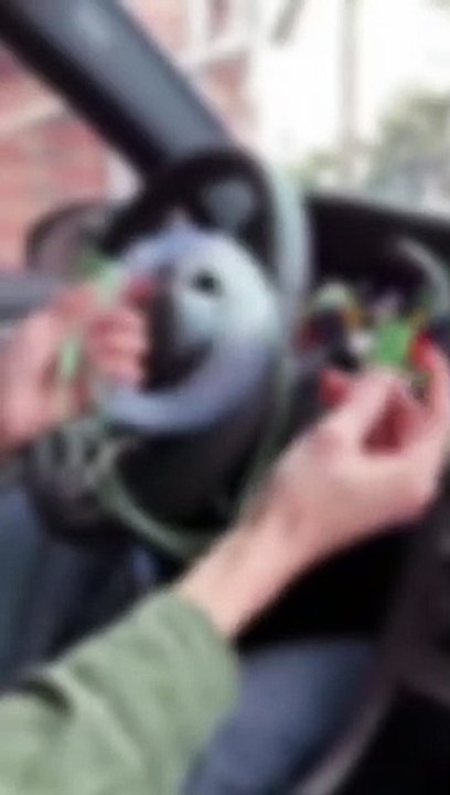 Vidio_mobil civix nih bos. Senggol dong