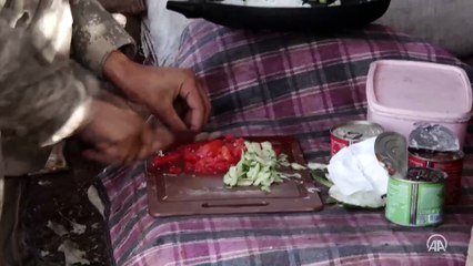 MSB'den "Her dağın zirvesi Mehmetçik" videosu