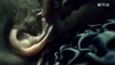 Guillermo del Toro's Cabinet of Curiosities "Graveyard Rats" Trailer OV