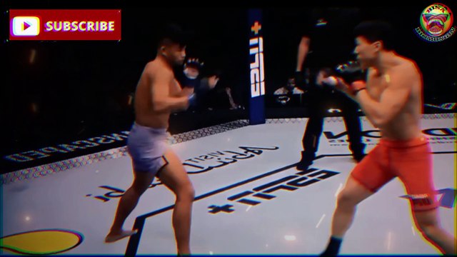 Brutal Jeka Saragih Guncang Road To UFC #sekalitonjok