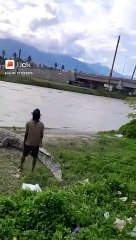 Tidak takut dimakan buaya ni org