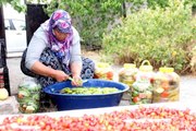 Erzincan yerel haberleri: Erzincan'da kadınların turşu mesaisi