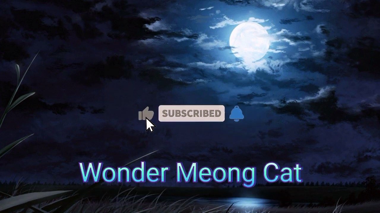 KARAOKE SONG WITH LYRICS - TRI SUAKA - AKU BUKAN JODOHNYA #karaoke  #lagu