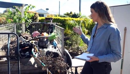 Extensive flooding hits northern town of Moree