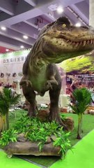 Lets Play with Dinosaurus T Rex