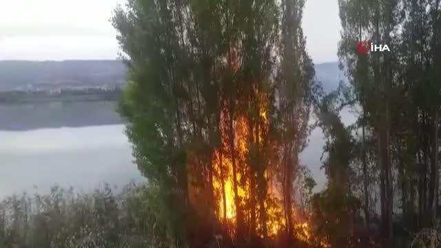 Sazlık alanda çıkan yangın korkuttu