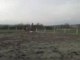 Miniature DailyMotion