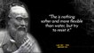 Lao Tzu Quots, Part 2! Whoever Talks A Lot Often Fails, Motivational Words Of Wisdom, Wisdom Quotes
