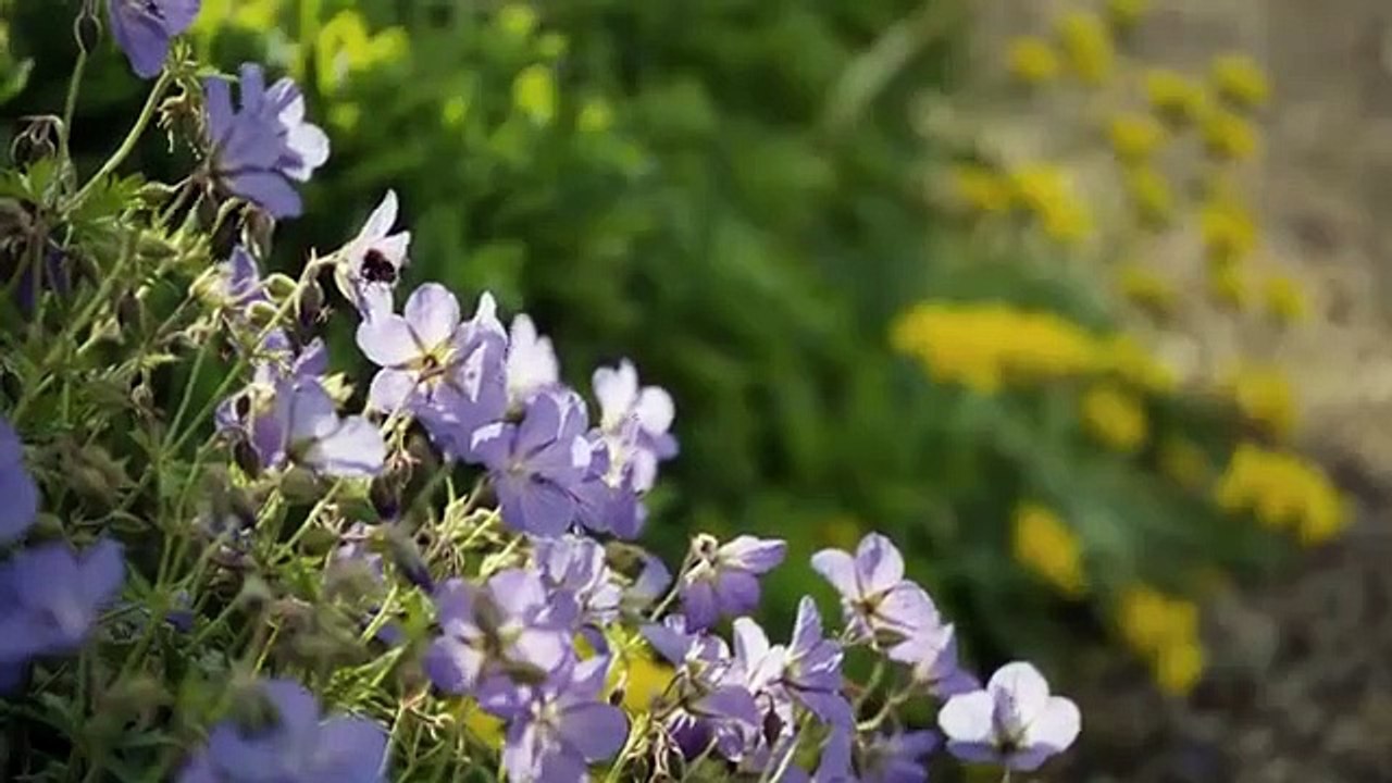 An American Aristocrat's Guide to Great Estates - Se1 - Ep05 - Doddington Hall HD Watch HD Deutsch