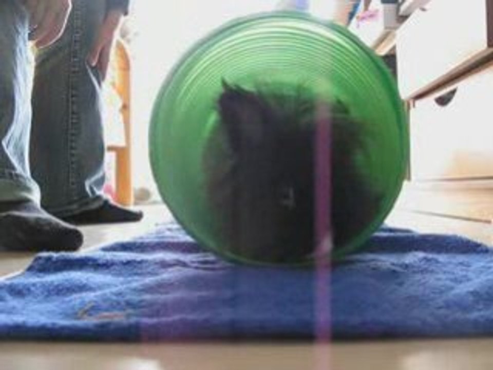 Cactus teste son nouveau tunnel