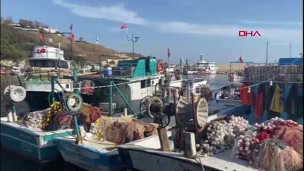 PALAMUT BOLLUĞU YAŞANAN KARADENİZ'DE BALIKÇILARIN 'MAYIN' ENDİŞESİ