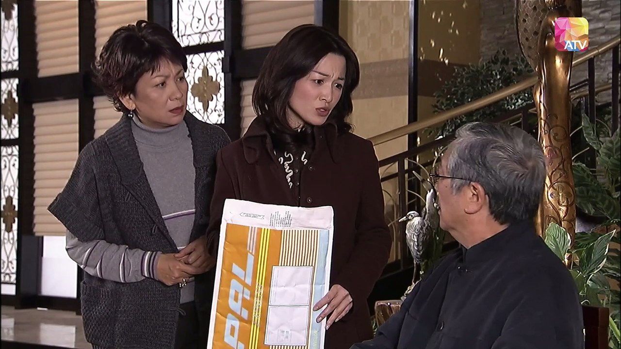 HoaHoDiep.ATV2008.1080p.E26