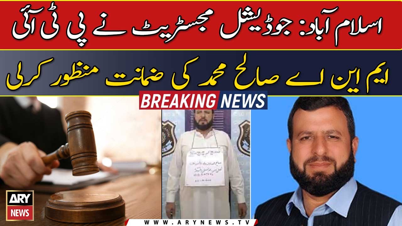 Islamabad: Judicial Magistrate granted bail to PTI MNA Saleh Muhammad