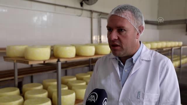 ŞEHİRLERİN LEZZET REKABETİ - Trakyalı ve Karslı kaşar üreticileri rekabette