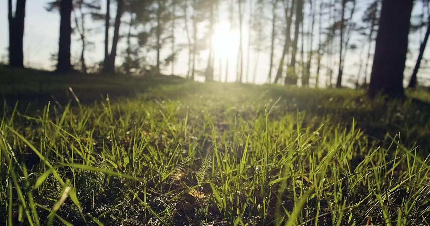 4k videos