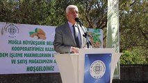 Muğla yerel haberi... Muğla Büyükşehir'den Datça Bademini ve Zeytinciliği Yaygınlaştıracak Hamle