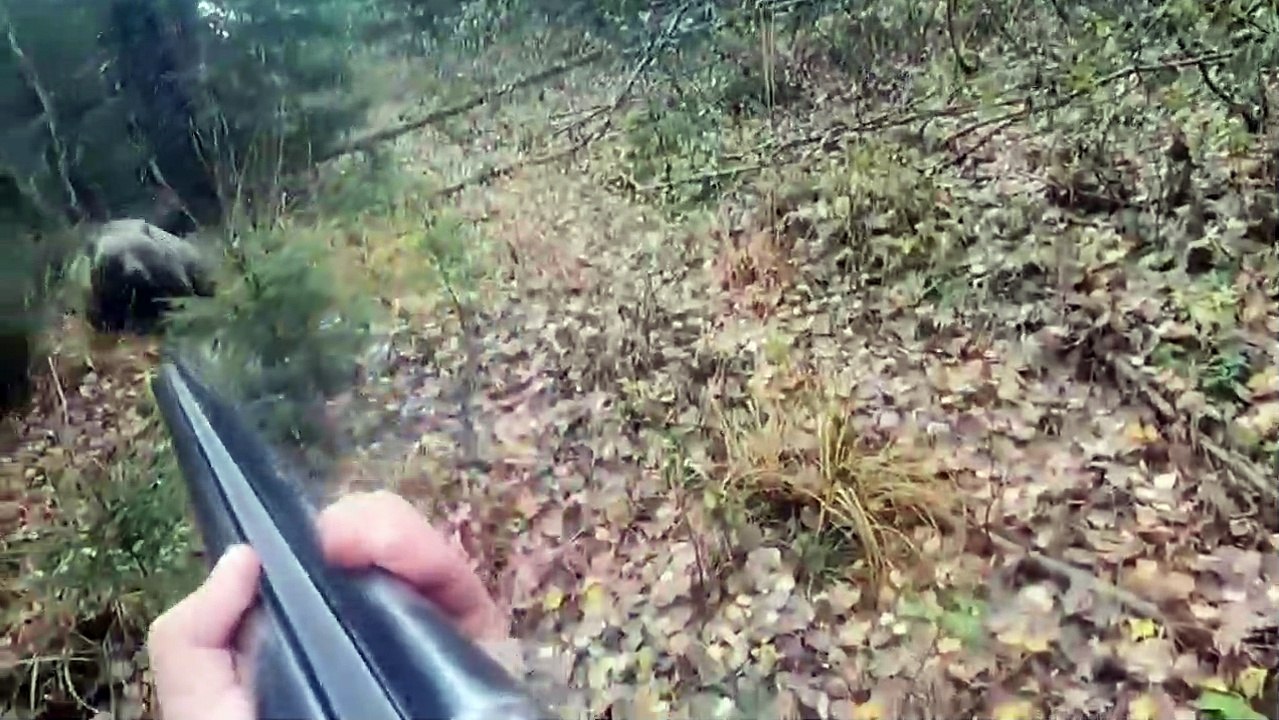 Un chasseur tombe sur un chasseur plus dangereux que lui dans une forêt