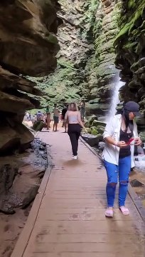 Scenic Site Visitor Trips off of Walking Trail