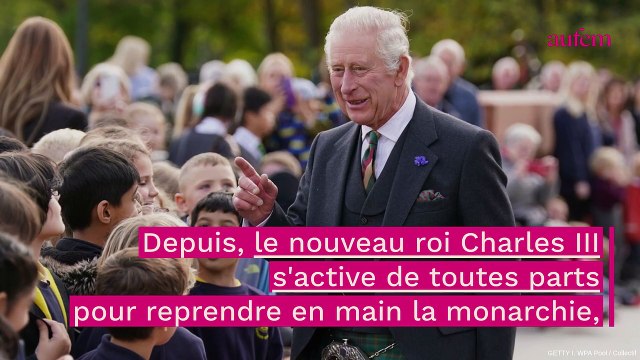 Harry et Andrew : cette stratégie bien ficelée, pour évincer les deux princes devenus parias