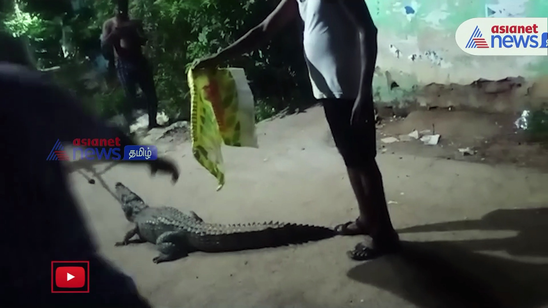 Viral Video :  தாம்பரம் அருகே ஊருக்குள் புகுந்த முதலை! மக்கள் பீதி!