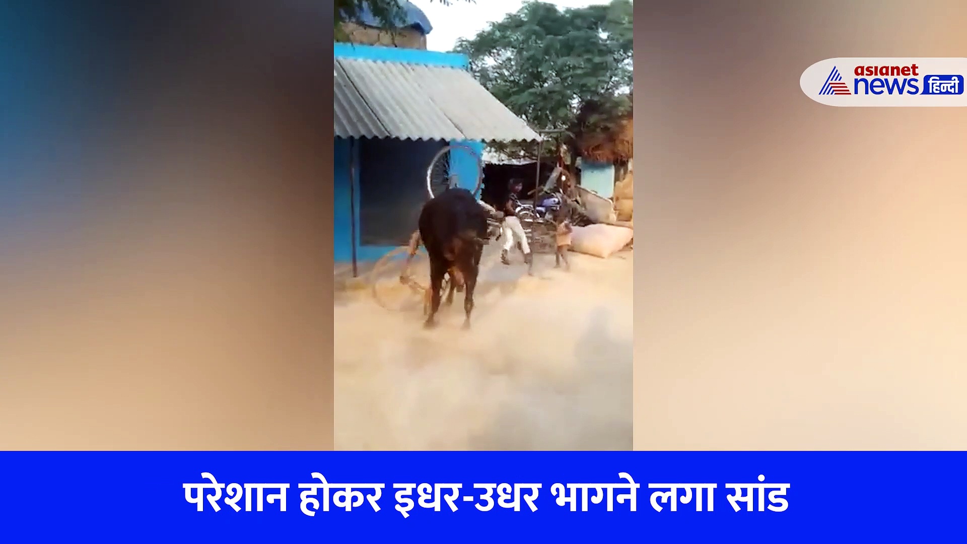 साइकिल में फंसी सांड की गर्दन, छटपटाते हुए भागता रहा... Video में देखिए फिर क्या हुआ?