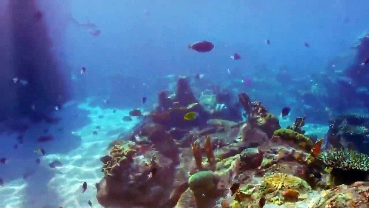 Mako Mermaids - Se1 - Ep02 - Getting Legs HD Watch HD Deutsch