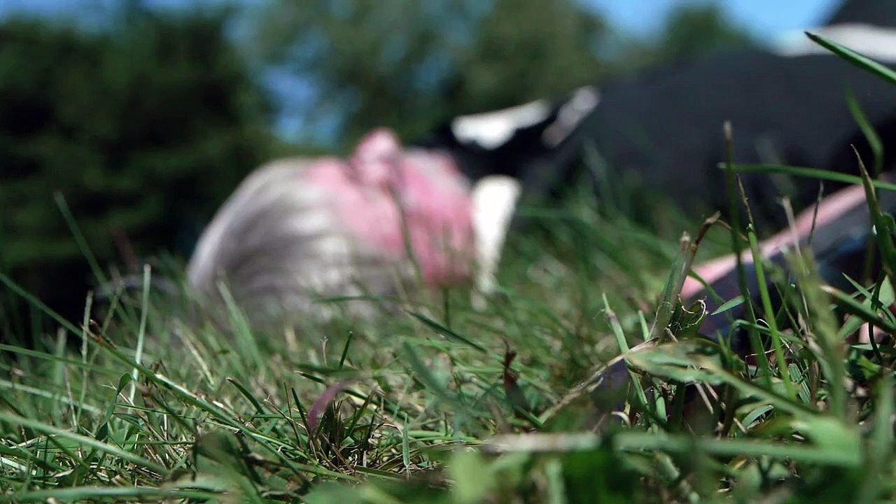 Man vs. History - Se1 - Ep05 HD Watch HD Deutsch