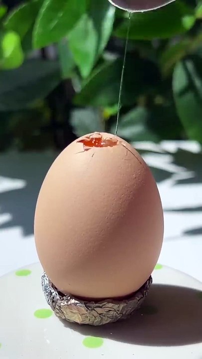 Cat Making Fruit Egg Jelly For Your Weekend!❤ _