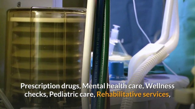 Best Health Insurance Texas _ Top 5 Cheap Health Insurance in USA ⚕️