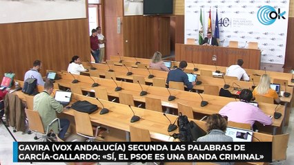 Download Video: Gavira (Vox Andalucía) secunda las palabras de García-Gallardo «Sí, el PSOE es una banda criminal»